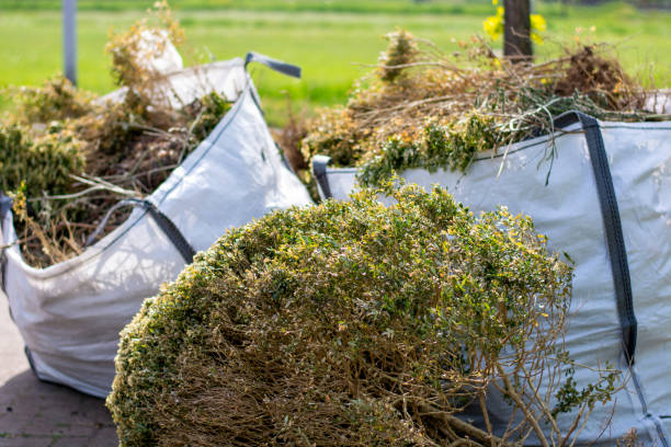 Best Yard Cleanup Services  in Arial, SC